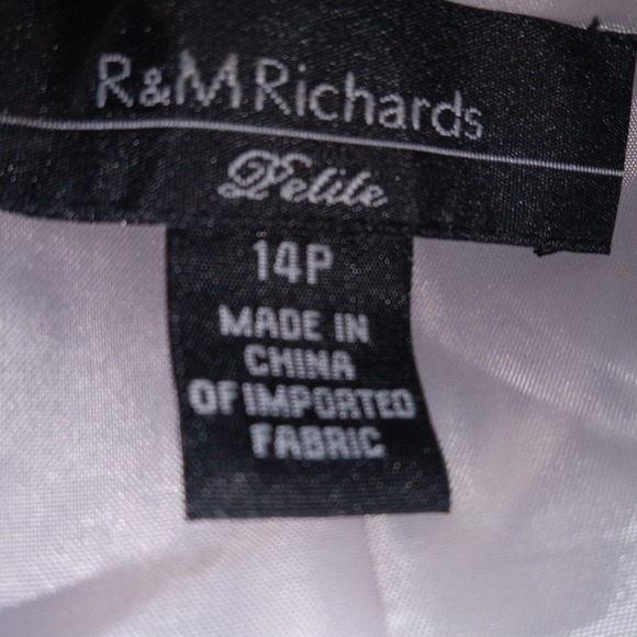 R&M Richards Embroidered Glitter Tank Cami Top Size 14P Party Holiday Cocktail - Picture 8 of 8